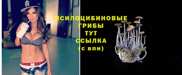 крисы Бугульма