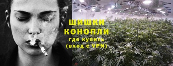 крисы Бугульма