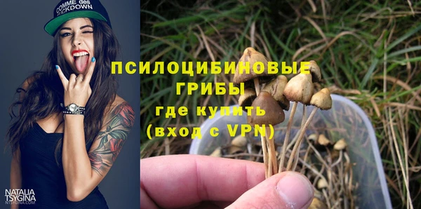 apvp Бронницы