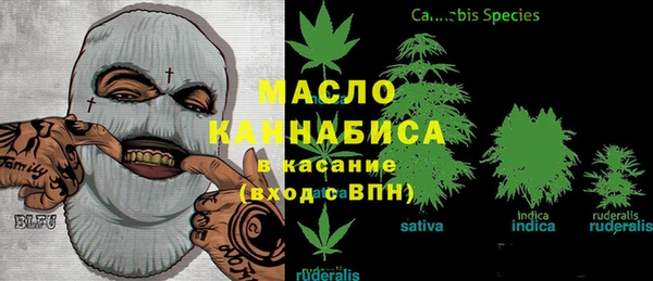 крисы Бугульма
